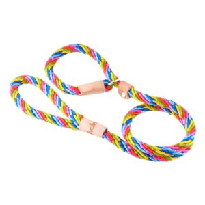 Sport Slip Dog Lead With Stopper - Multineon