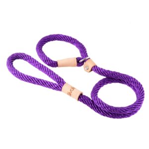 Sport Slip Dog Lead With Stopper - Purple
