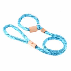 Sport Slip Dog Lead With Stopper - Turquoise