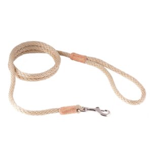 Nylon Snap Dog Lead - Gold
