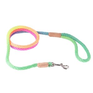 Nylon Snap Dog Lead - Multicolour
