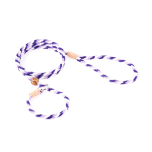 Nylon Slip Dog Lead With Stopper - Purple Combination