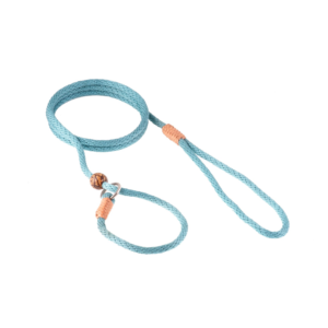Nylon Slip Dog Lead With Stopper - Teal Green