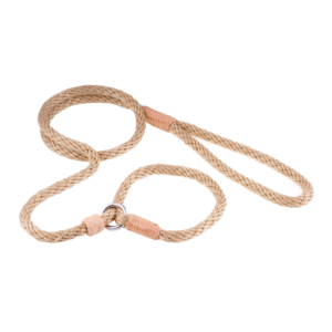 Nylon Slip Dog Lead With Stopper - Gold