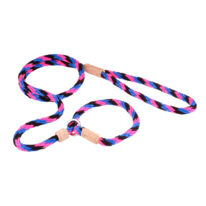 Nylon Slip Dog Lead With Stopper - Black, Pink & Blue