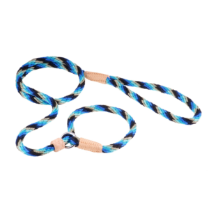 Nylon Slip Dog Lead With Stopper - Blue Combination