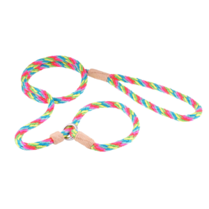 Nylon Slip Dog Lead With Stopper - Multineon