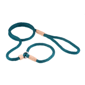 Nylon Slip Dog Lead With Stopper - Pine Green