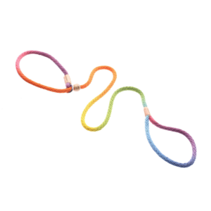 Nylon Slip Dog Lead With Stopper - Rainbow Multicolour