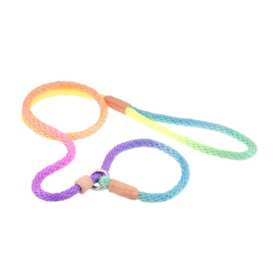 Nylon Slip Dog Lead With Stopper - Multicolour