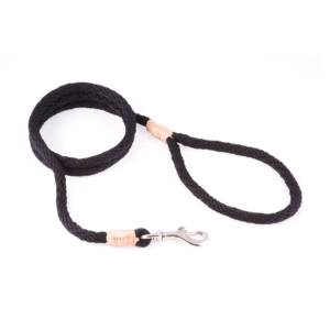 Nylon Snap Dog Lead - Black