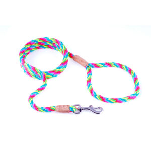 Nylon Snap Dog Lead - Multineon