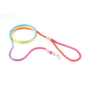Nylon Snap Dog Lead - Rainbow Multicolour