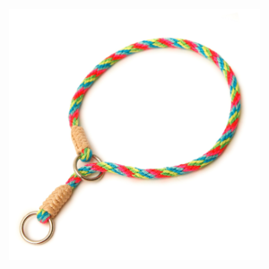 Nylon Slip Dog Collar - Multineon