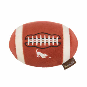 Back to School Fido's Football