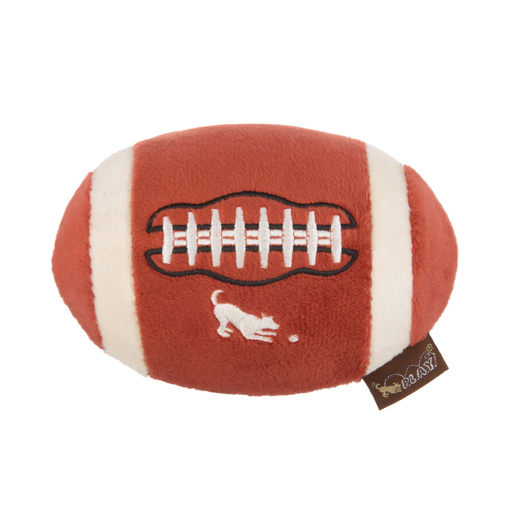 Back to School Fido's Football