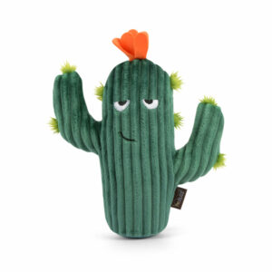 Blooming Buddies Prickly Pup Cactus