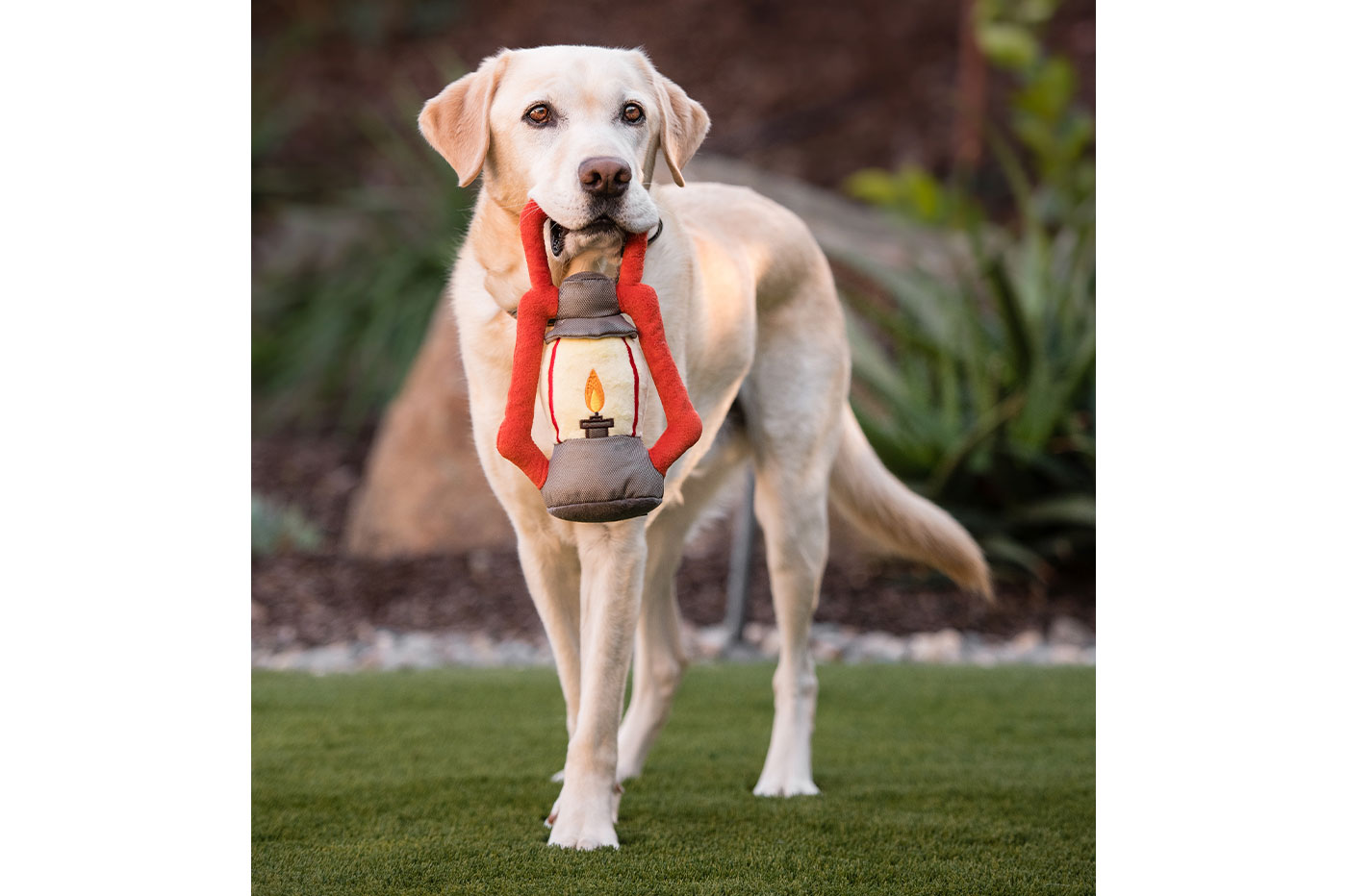 Camp Corbin Pack Leader Lantern - Image 3