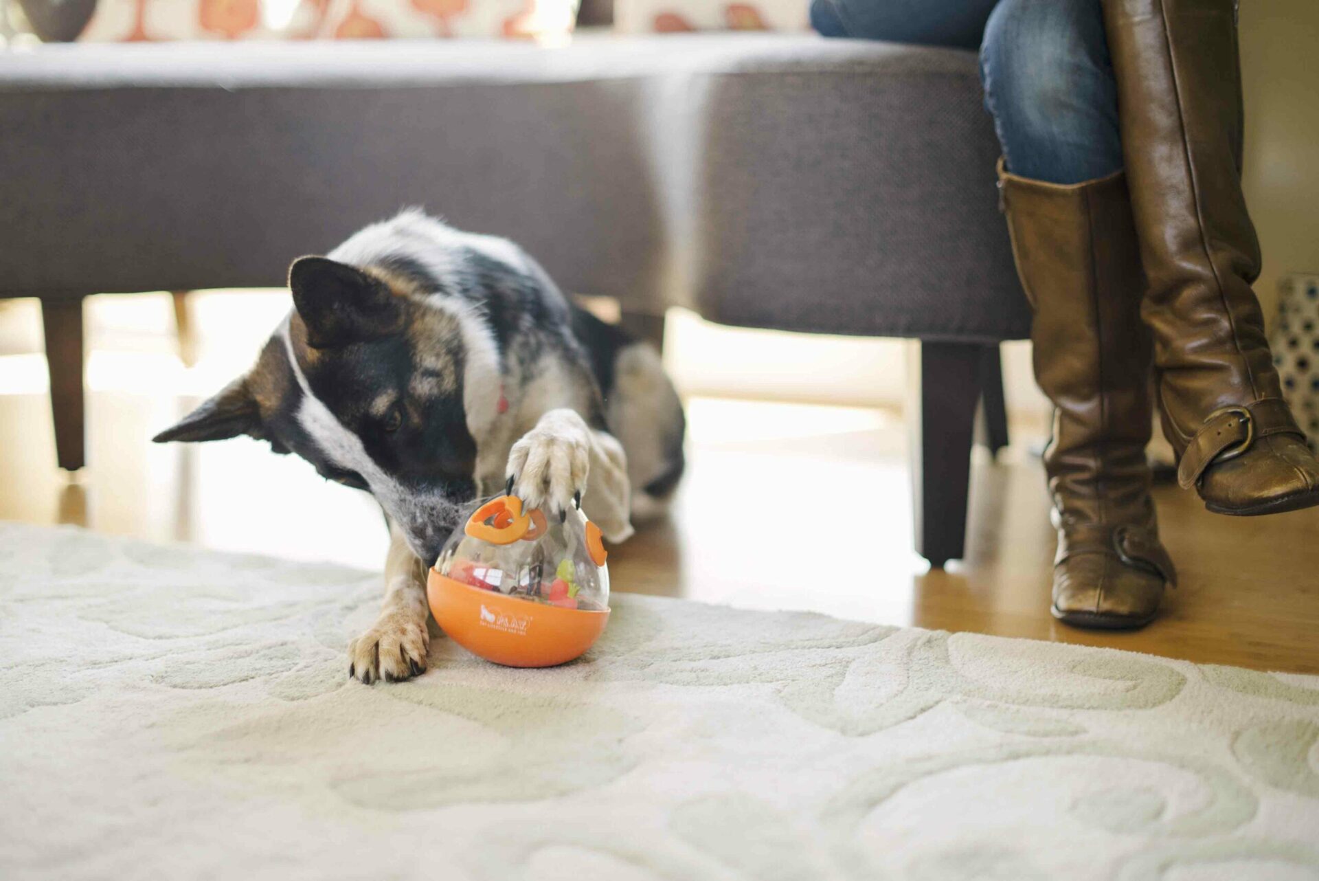 Wobble Ball Enrichment Treat Toy 2.0 - Pumpkin Orange - Image 2