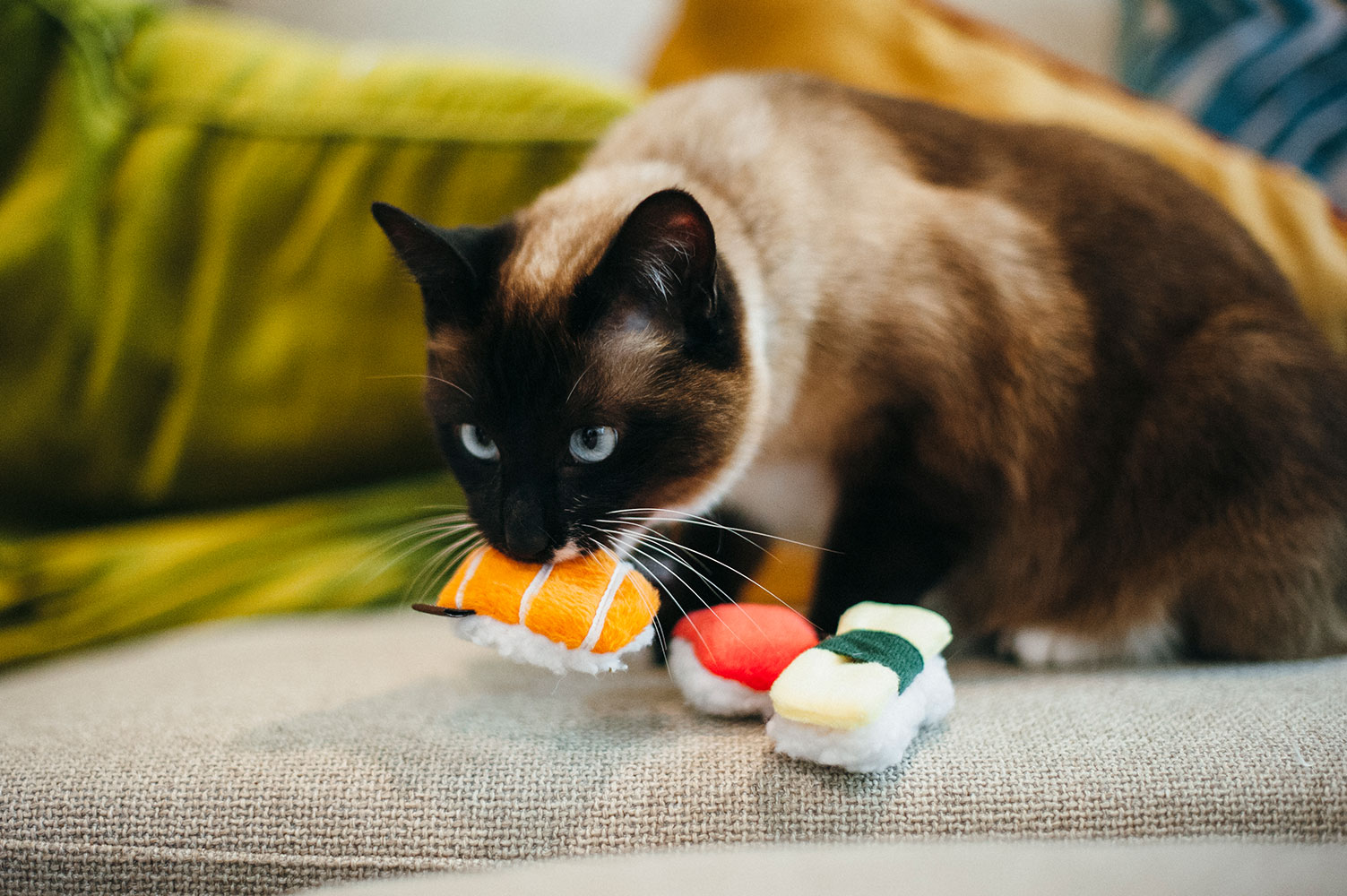 Feline Frenzy Food Sassy Sushi Cat Toy - Image 3