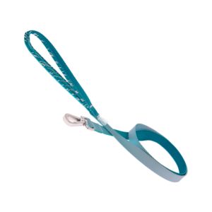 Onda Reflective Dog Leash - Teal