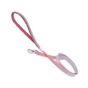 Onda Reflective Dog Leash - Watermelon