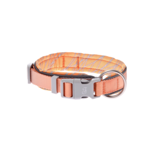 Onda Reflective Dog Collar - Tangerine
