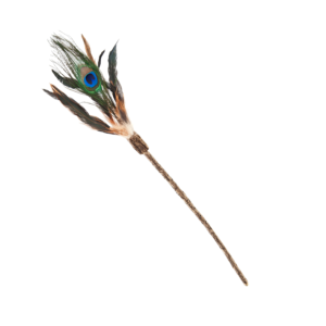 Peacock Cat Stick