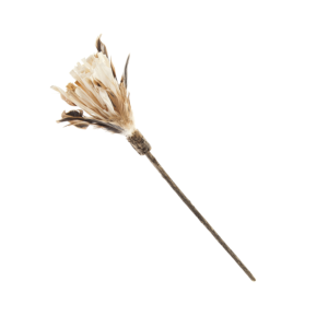 Feather Cat Stick