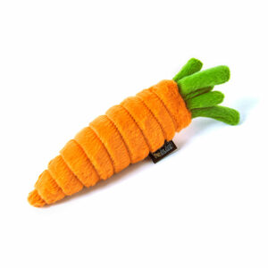 Garden Fresh Carrot