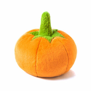 Garden Fresh Pumpkin