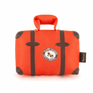 Globetrotter Pack and Snack Suitcase
