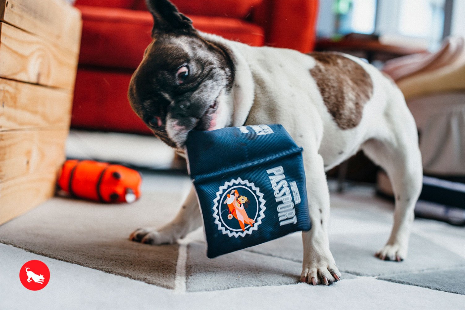 Globetrotter Pupster Passport - Image 4