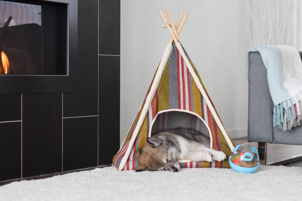 Woodland Horizon Pet Teepee - Image 4