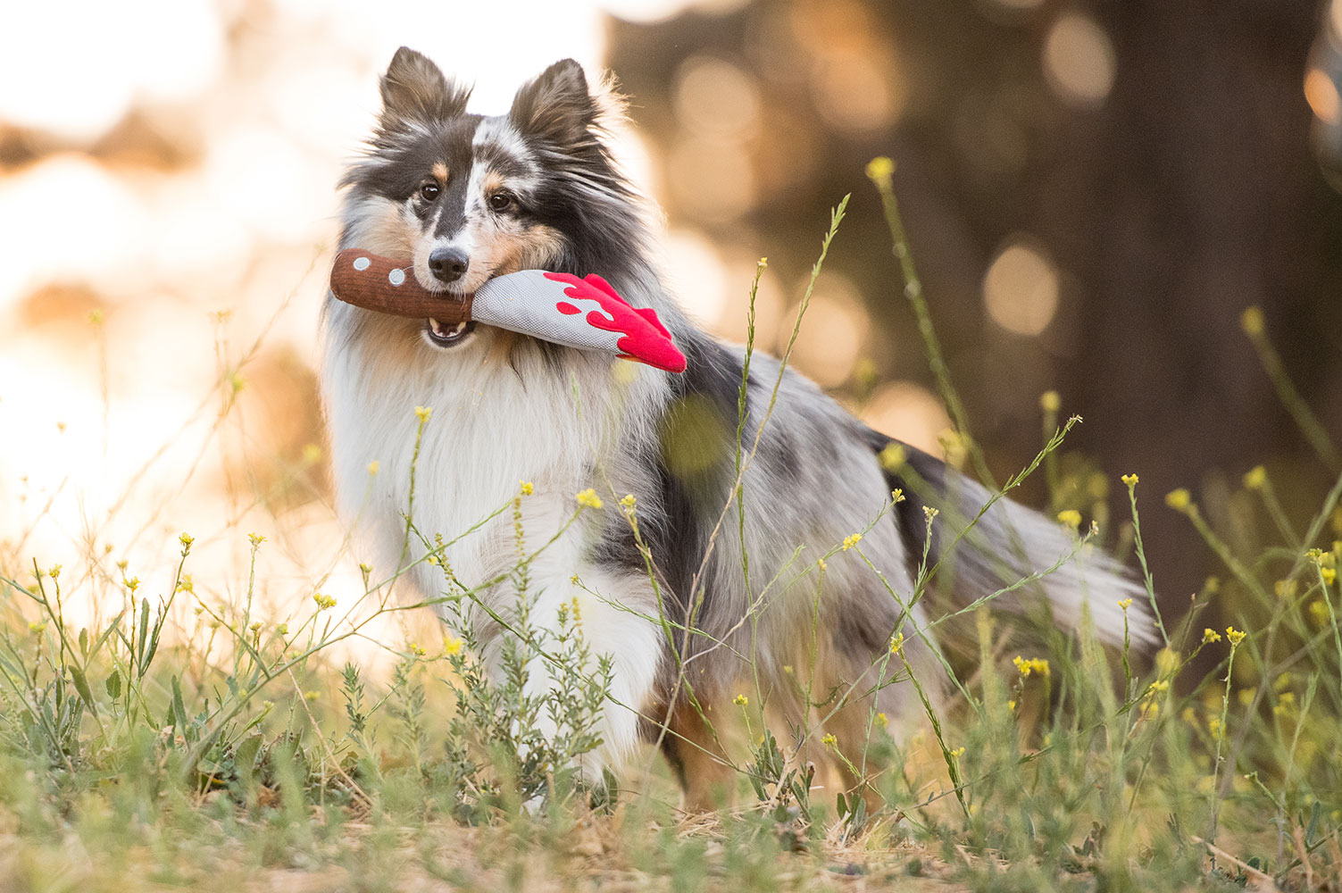 Howling Haunts Doggy Dagger - Image 3