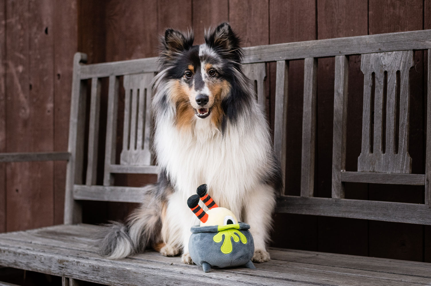 Howling Haunts Pup's Potion - Image 3