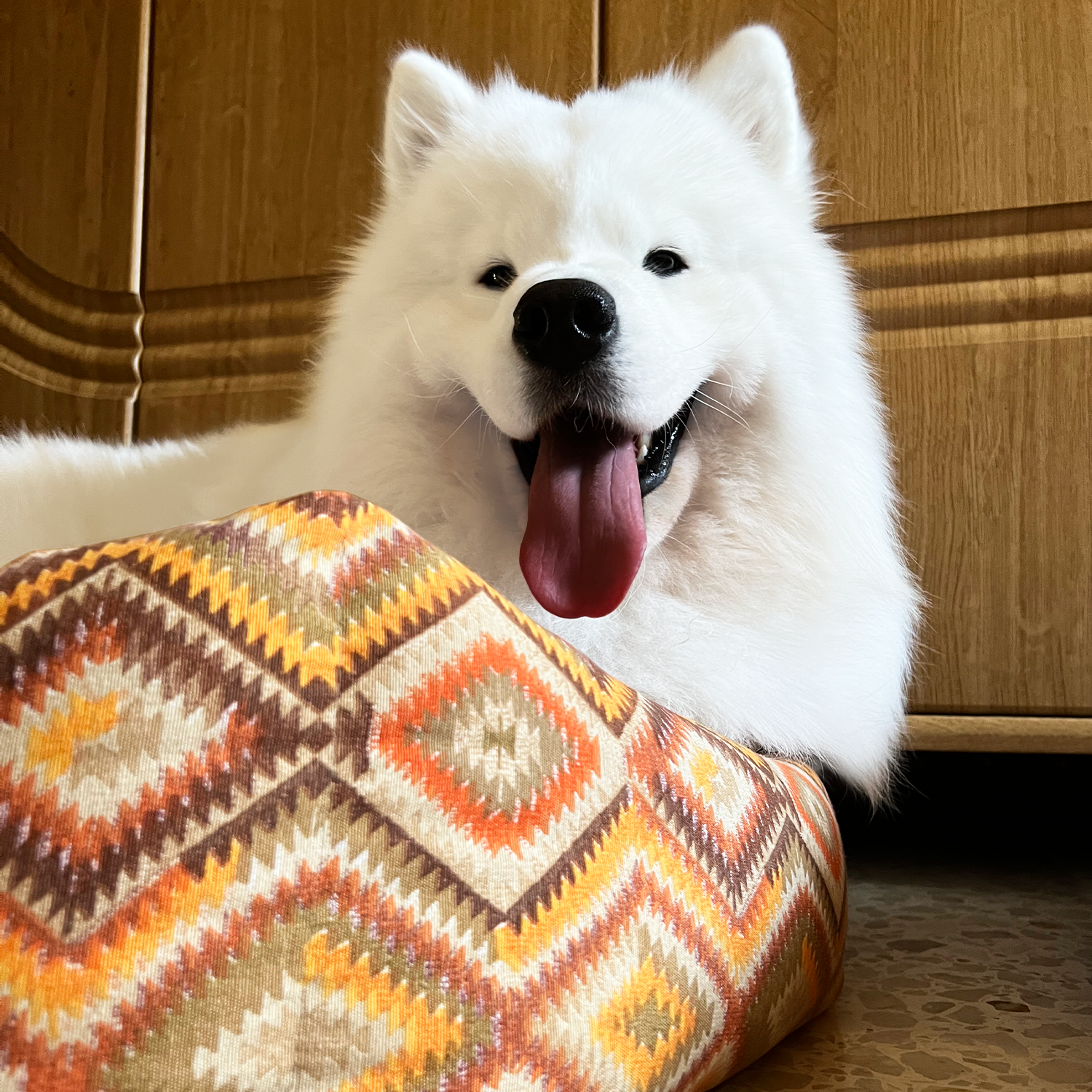 Orange Rectangle Pedro Pet Bed - Image 2