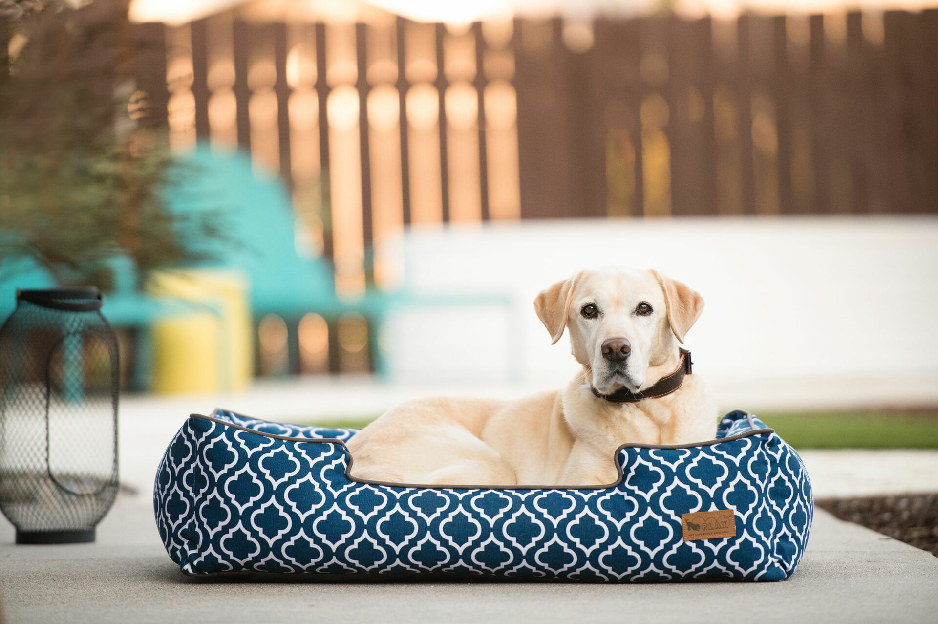 Navy Moroccan Lounge Bed - Image 2