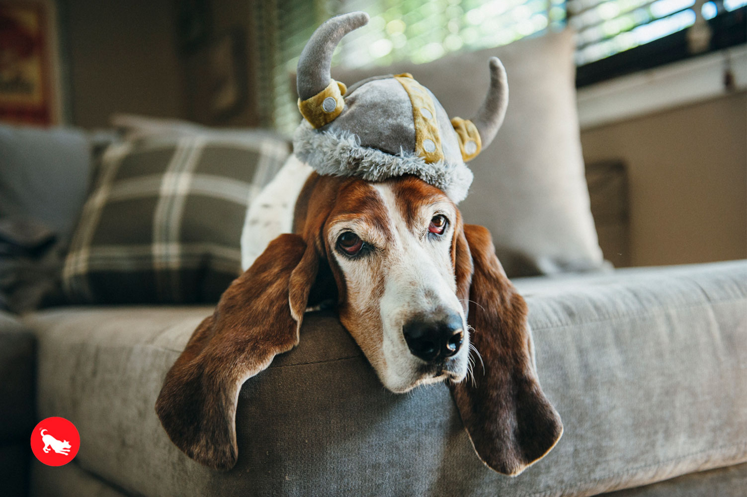 Mutt Hatter Viking Hat - Image 5