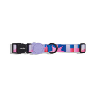 Noon Dog Collar