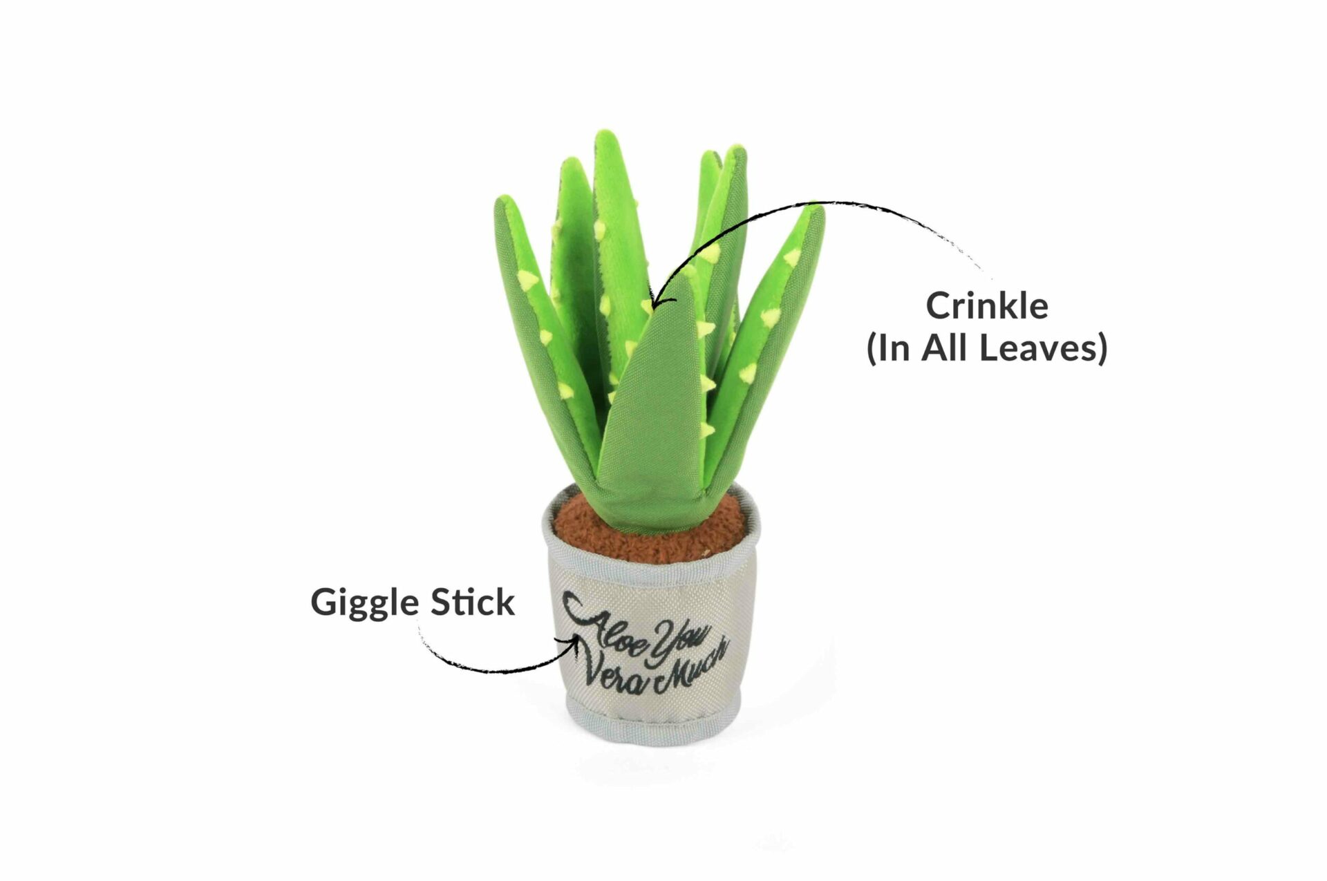 Blooming Buddies Aloe-ve You Plant - Image 2