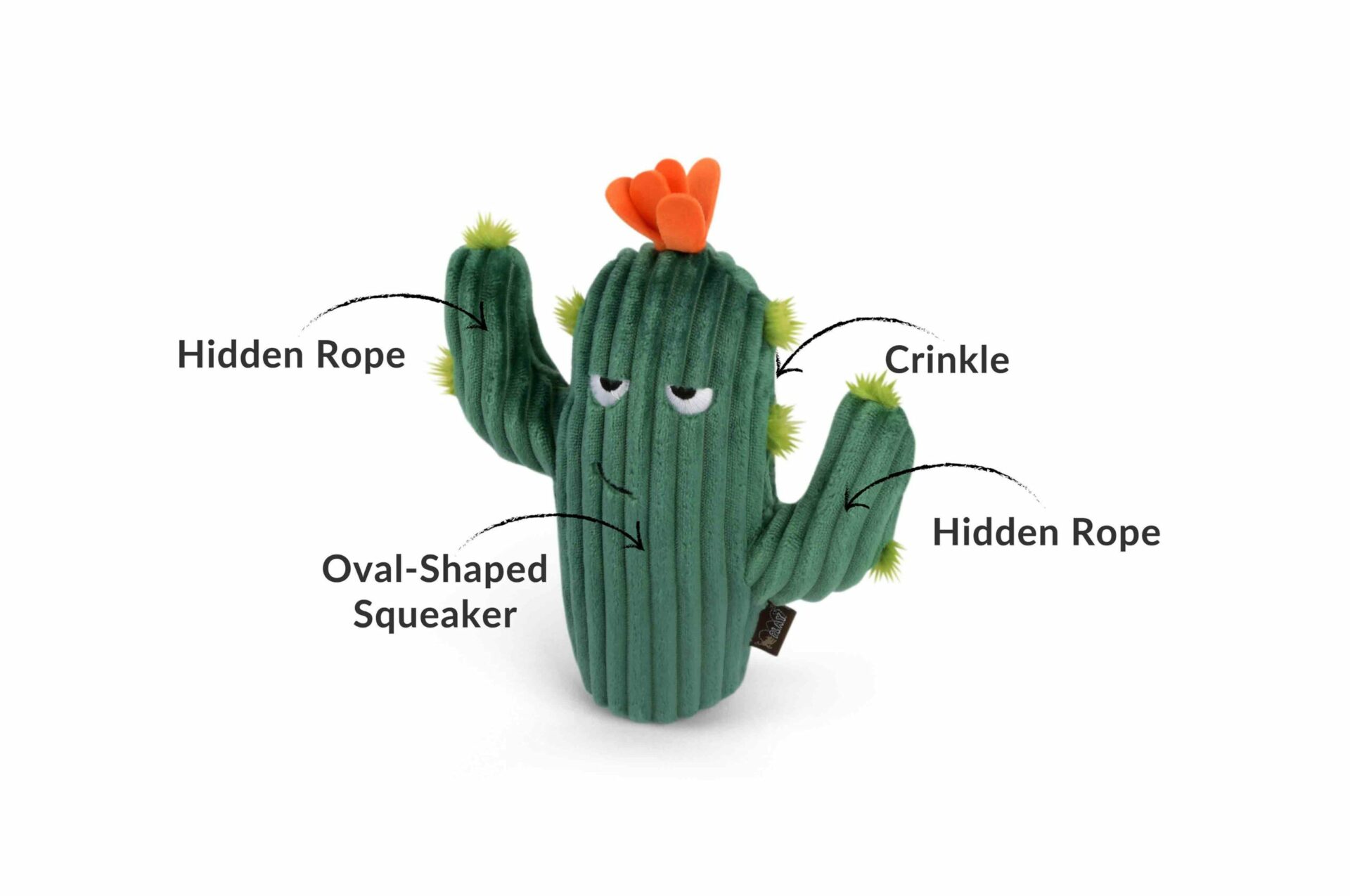 Blooming Buddies Prickly Pup Cactus - Image 2
