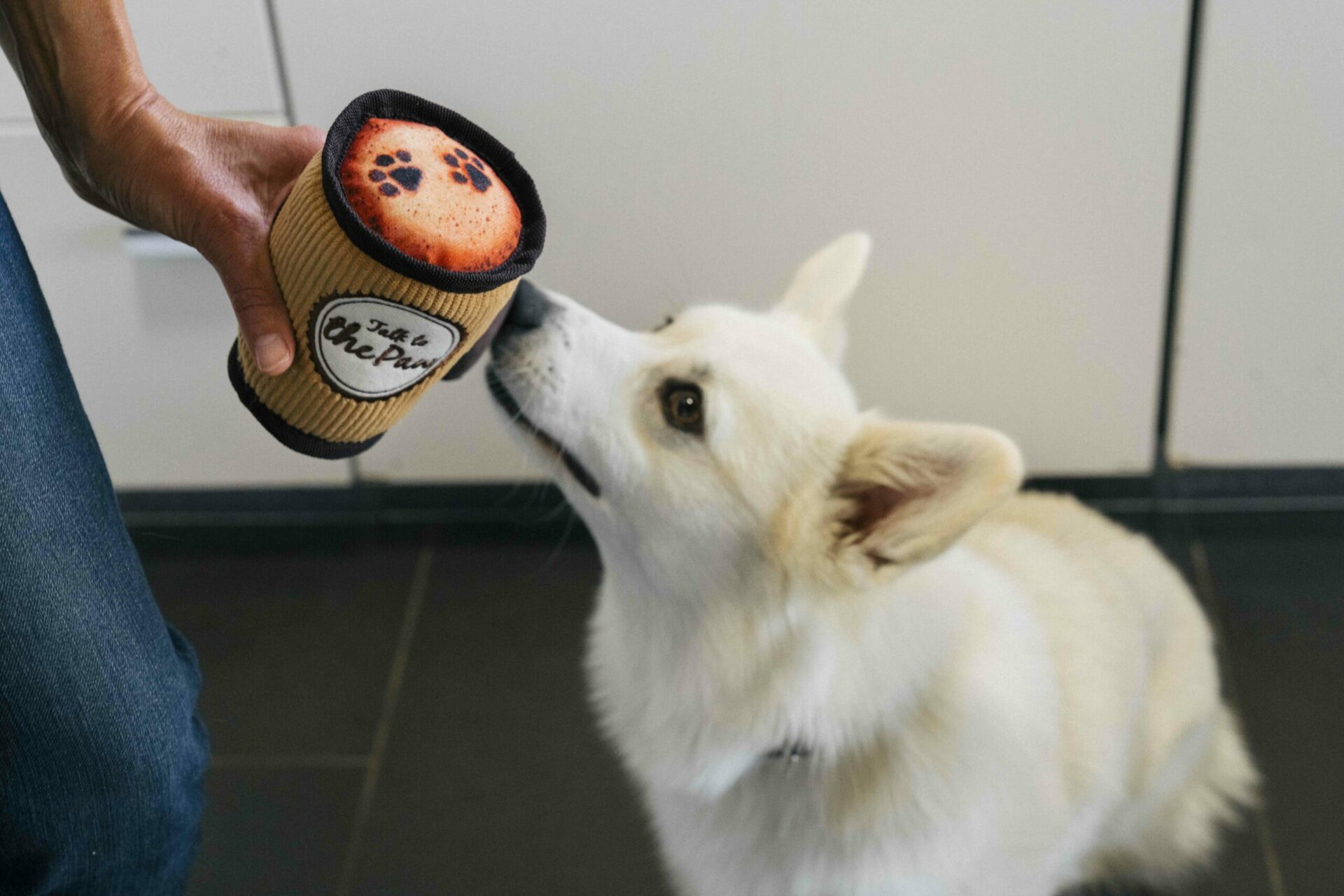 Pup Cup Café Doggo’s Java - Image 4