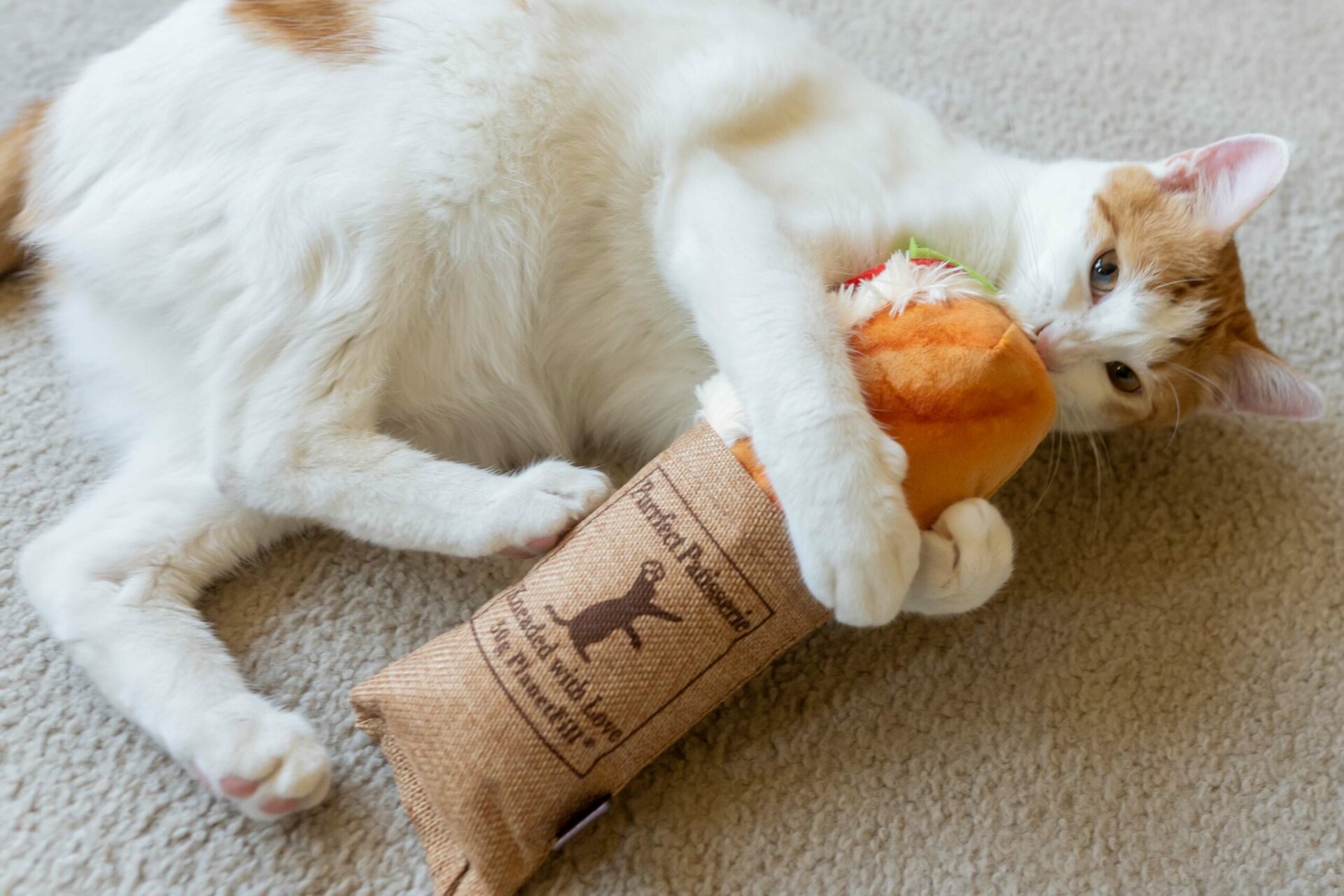 Feline Frenzy Kicker Tuna Baguette Cat Toy - Image 4