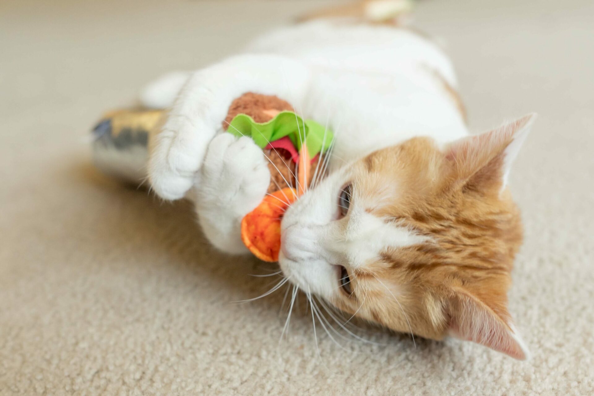 Feline Frenzy Kicker Shrimp Purrito Cat Toy - Image 4