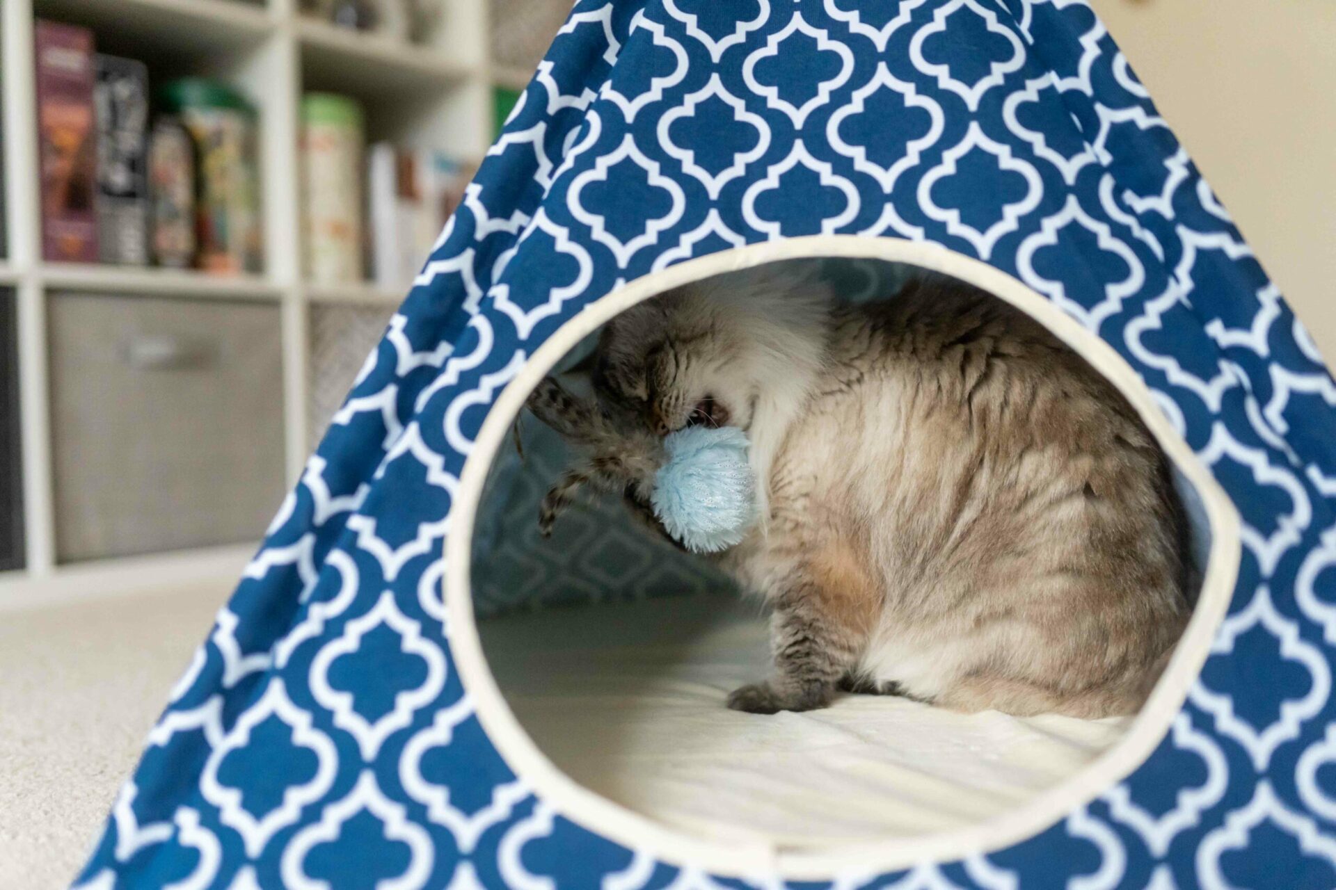 Moroccan Navy Blue Pet Teepee - Image 6