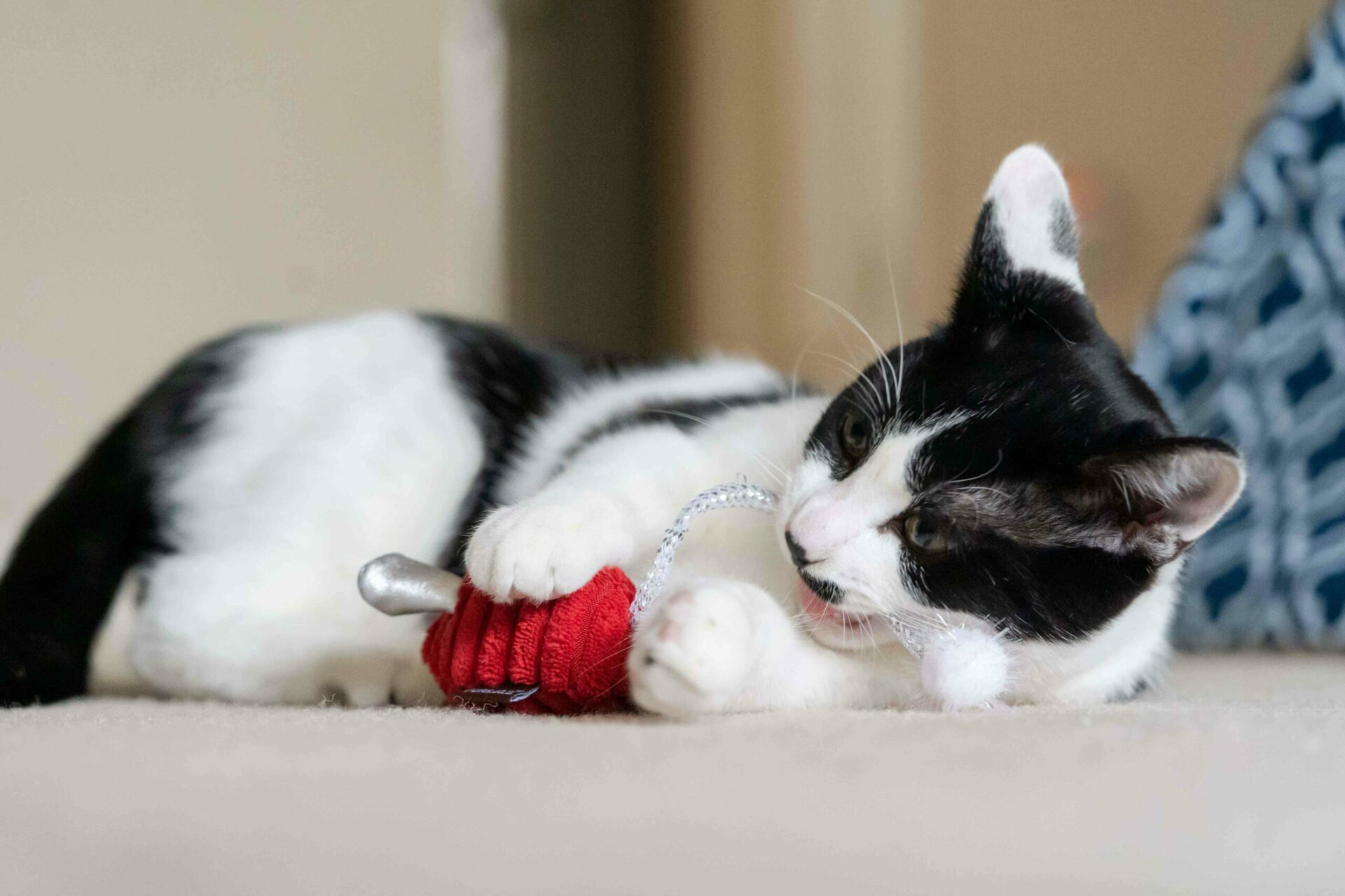 Feline Frenzy Critter Twice as Mice Cat Toy - Image 3