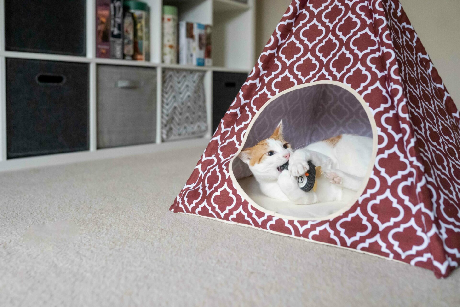 Moroccan Marsala Pet Teepee - Image 5