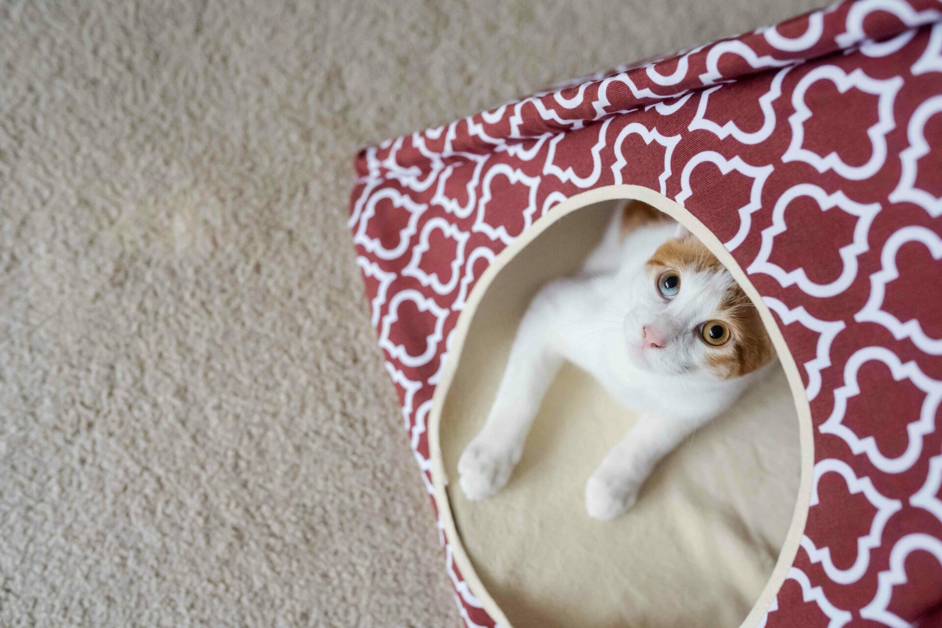 Moroccan Marsala Pet Teepee - Image 6