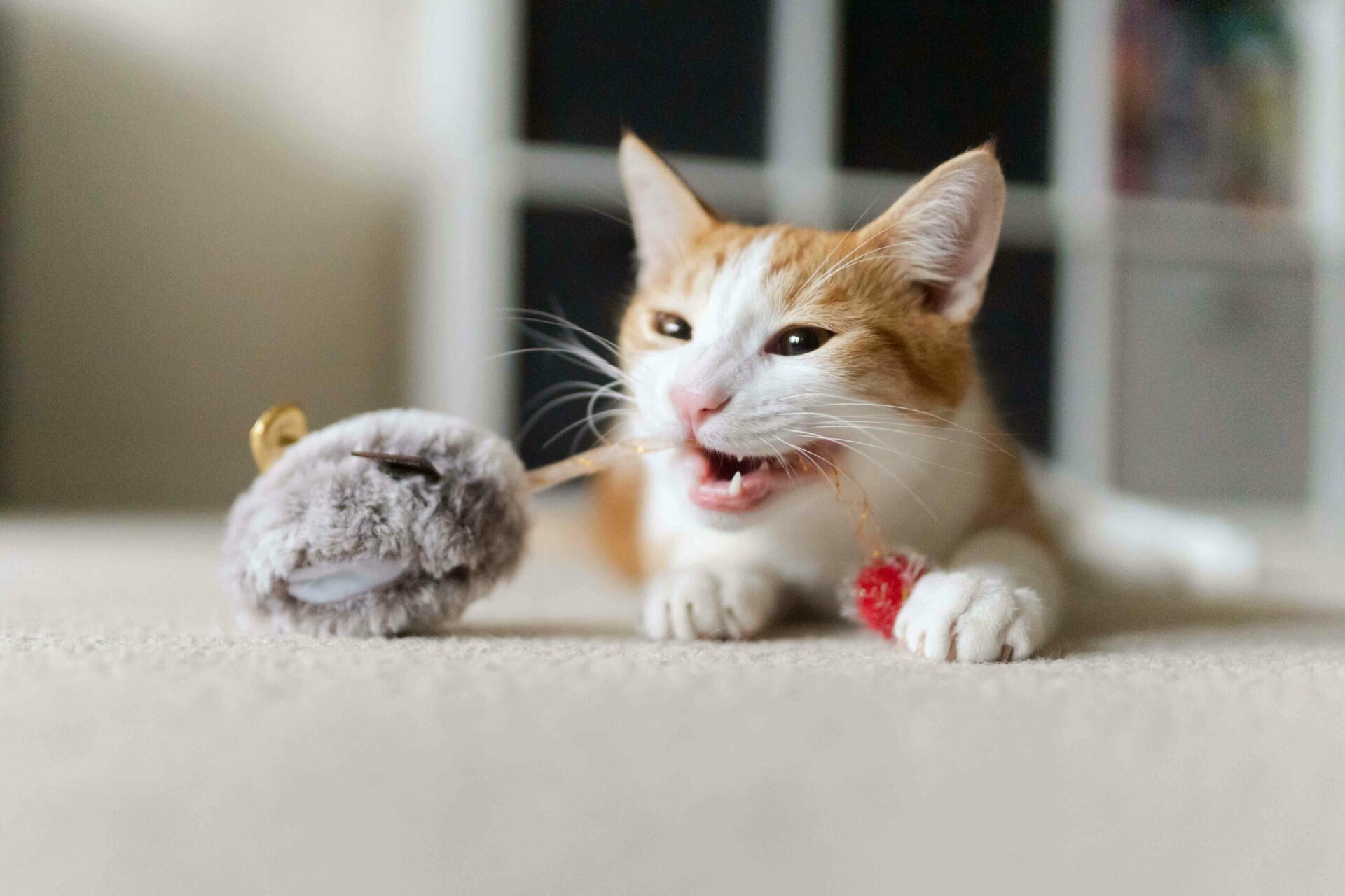 Feline Frenzy Critter Twice as Mice Cat Toy - Image 4